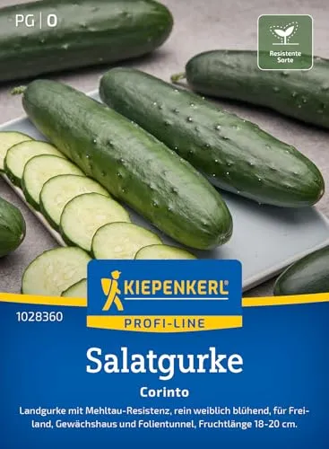 Kiepenkerl Profi-Line Salatgurkensamen Corinto 1028360 - Dunkelgrüne Gurken-Gemüsesamen, leicht gestachelte Früchte mit hohem Ertrag, resistent gegen Mehltau