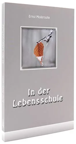 In der Lebensschule