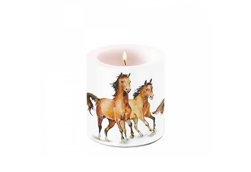 Ambiente Kerzen von Ambiente