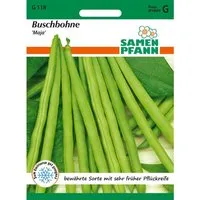 SAMEN PFANN Buschbohne Maja