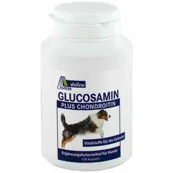 Glucosamin+Chondroitin Kapseln für Hunde - Tiergesundheit: Fördert die Gelenk- und Knorpelgesundheit Ihres Hundes mit Glucosamin und Chondroitin für mehr Mobilität und Lebensqualität.