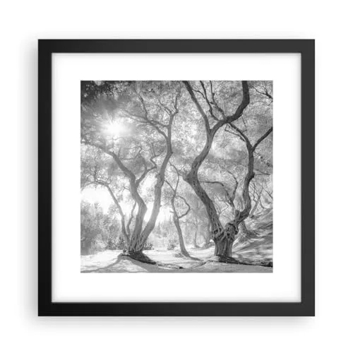 Wandposter Art Prints 30x30cm Poster Schwarzrahmen Wald Winter Bäume Küche Wanddeko Bild Wand Kunstdruck Deko Wandbilder Dekoration Wohnzimmer Schlafzimmer Modern Wall Art Decor P2BAC30x30-5354