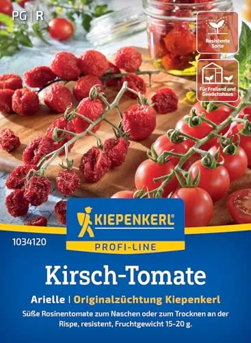 Kiepenkerl Kirsch-Tomate, Arielle, F1 1034120 - süß- aromatisch - resistente Sorte - zum trocknen an der Rispe - Samen Gemüse, Gemüsepflanzen, Saatgut