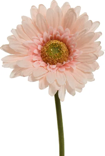 Kunstblume Gerbera mit Stiel 50cm pfirsich