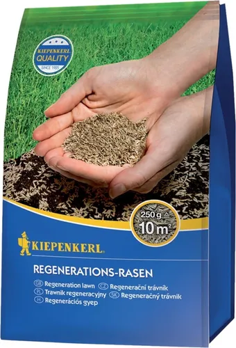 Kiepenkerl Rasensamen - Regenerations-Rasen 250 g, schnelle Rasenreparatur mit winterharten, robusten Gräsern für stark beanspruchte Flächen