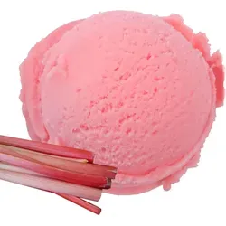 Rhabarber Speiseeis Pulver 100 kg von Gino Gelati