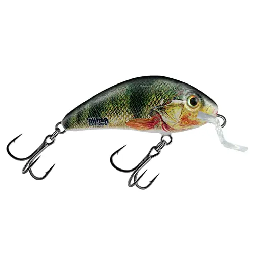 Salmo Rattlin Hornet Shallow 3,5cm 3g - schwimmender Wobbler, Farben:Supernatural Perch