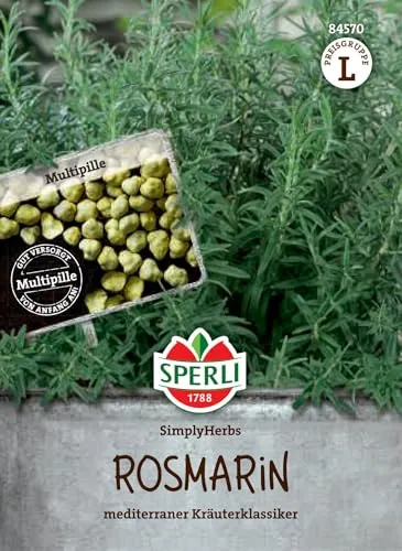 Sperli Rosmarinsamen SimplyHerbs 84570 - mediterraner Kräuterklassiker - mehrjährig - immergrün - Multipille, Kräutersamen, Rosmarinpflanzen