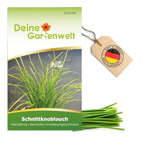 Schnittknoblauch Mehrjährig Samen - Allium tuberosum - Schnittknoblauchsamen - Kräutersamen - Saatgut für 100 Pflanzen
