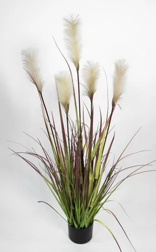 Kunstgras Pampasgras 120cm von Seidenblumen Roß