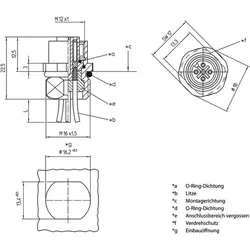 Lutronic 1231 Sensor-/Aktor-Einbausteckverbinder M12 Stecker, Einbau 0.50m Polzahl Sensoren: 4 1St.