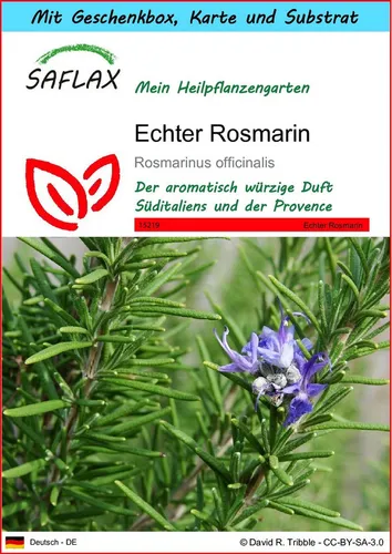 SAFLAX Blumensamen SAFLAX