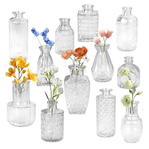 12er Set Glasvase, Vasen klein tischdeko für den Schreibtisch, Kleine vasen für tischdeko im Vintage Stil, geeignet für Blumenarrangements, Esstische, Wohnzimmer und Hochzeitsdekorationen