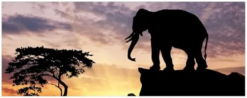 Wallario Küchenrückwand selbstklebend 115 x 50 cm – Elefant vor Abendhimmel - Selbstklebende Küchenrückwand mit hochwertiger Laminierung in Echtglasoptik. Pflegeleicht, langlebig und ideal für die einfache Montage auf verschiedenen Untergründen. Qualität Made in Germany – individuelle Sonderanfertigungen auf Anfrage.