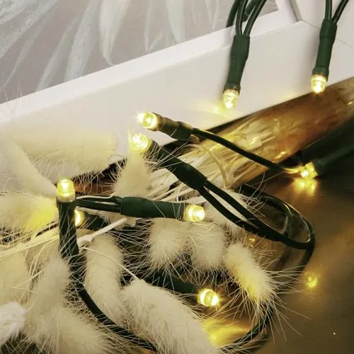 hellum LED Mini Lichterkette Innen, 10 mini LED Lichter, 135cm beleuchtete Länge, Lichterkette Strom mit Stecker, Kabel grün, warmweiß innen, für Weihnachtsbaum 577532