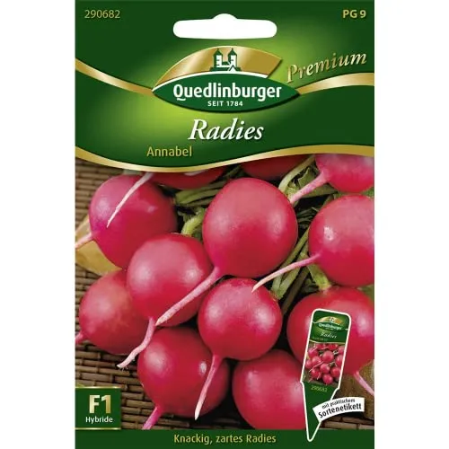 Radieschen 'Annabel' Gemüsesamen Quedlinburger