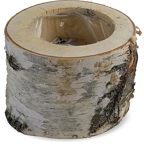 matches21 Pflanztopf Birkenstamm Holzstamm Pflanzgefäß Übertopf Blumentopf Naturdeko mit Plastikbecher 1 STK Ø 16-19x16 cm