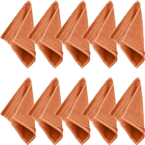 Erwin Müller Seiftuch Heidelberg 10er- Pack, 100% Baumwolle Terra Größe 30x30 cm - weiche Qualität, saugstark und strapazierfähig - praktisch durch Schlaufe