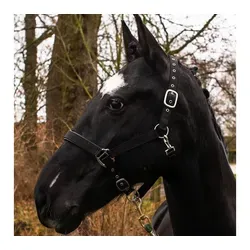 Halfter Schwarz von Pferdelinis