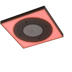 Steinberg Serie 390 Sensual Rain Regenpaneel von Steinberg