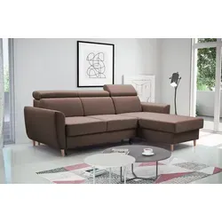 Sofas Braun von Beautysofa