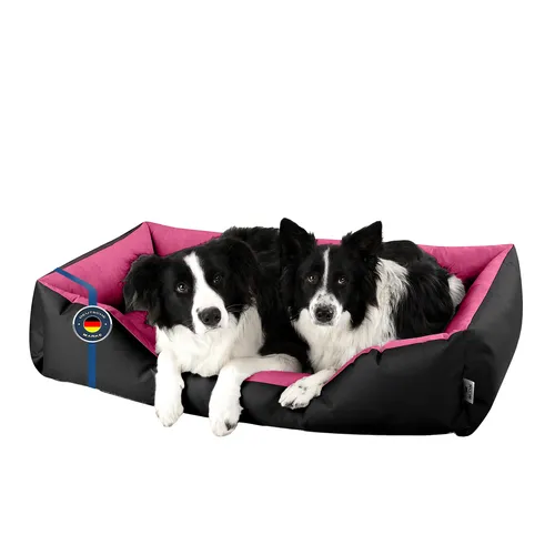 BedDog Hundebett XXL - Ergonomisches Hundekissen für große Hunde - Hundebetten - Hochwertiges Hundebett mit abnehmbarem, waschbarem Bezug und ergonomischem Design für optimalen Komfort und Gelenkschutz.