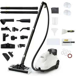 GOPLUS Dampfreiniger 2000W, 5 Bar mit Zubehör