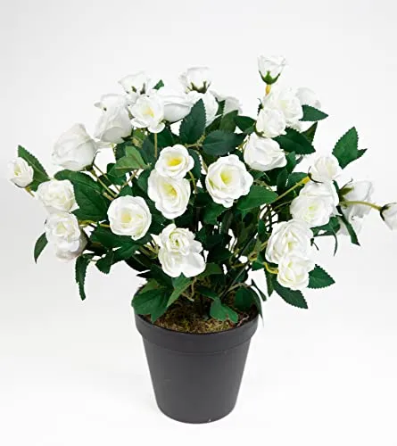 Seidenblumen Roß Rosenbusch 30cm weiß im Topf ZF Kunstpflanzen Kunstblumen künstliche Blumen Rosenstrauch Rosen