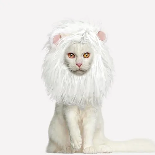 Onmygogo Löwenmähne Perücke für Katzen und Hunde, Lustige Haustier Katze Kostüme für Halloween Weihnachten, Pelzige Haustier Kleidung Zubehör (M, Weißer Löwe)