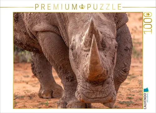 CALVENDO Puzzle Konfrontation | 1000 Teile Lege-Größe 64x48cm Foto-Puzzle für glückliche Stunden