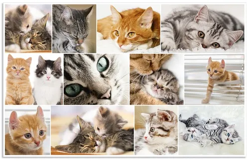 HERMA Schreibunterlage 