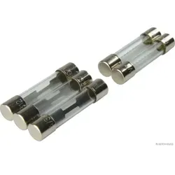HERTH+BUSS ELPARTS Sicherungssatz 50296155066