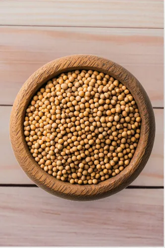 Senfkörner ganz Senfsaat Senfsamen Senf - 1A Qualität 250 g