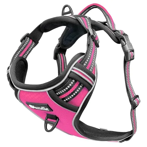 bluzelle Hundegeschirr für große Hunde, Reflektierendes Brustgeschirr mit Griff & GPS-Tasche - Weiteres Autozubehör mit Anti-Zug Design für entspannte Spaziergänge und praktischer GPS-Tasche für sichere Aufbewahrung von Tracker und ID-Tags.