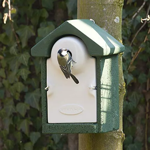 CJ Wildlife Nistkasten mit Marderschutz für Meisen – Wetterfest und robust