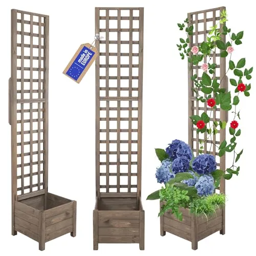 MODO24 Rankkasten Holz Pflanzkasten mit Pergola DNC
