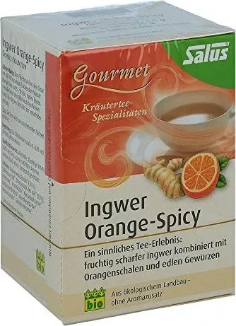 INGWER ORANGE Spicy Tee Salus Filterbeutel 2 g