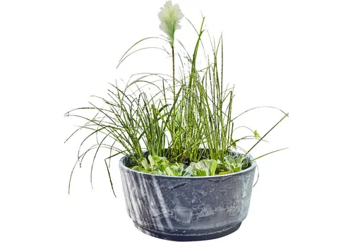 Heissner Solar Wassergarten AQUATOPIA - Miniteich mit Solarpumpe - Brunnen & Kaskaden, umweltfreundlicher Miniteich mit schwimmender Solarpumpe, ideal für Balkon oder Garten, schafft ästhetische Wasser-Highlights ohne Stromkosten.