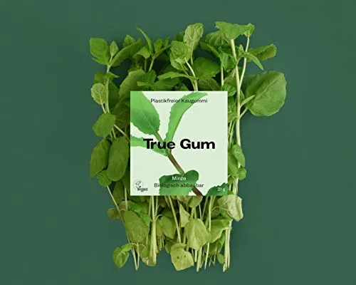 True Gum 10er SET: MINZE | Plastikfreier Kaugummi | Biologisch Abbaubar | Vegan | 10 x 21 g, 210 g