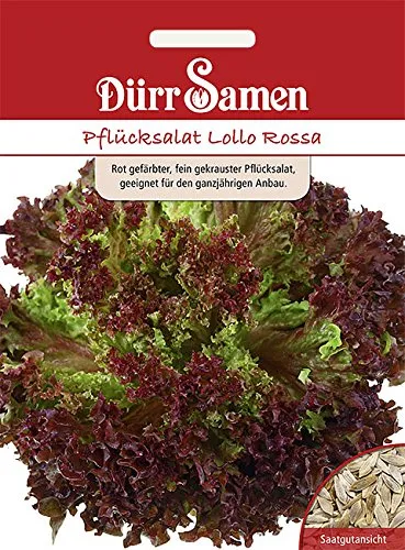Dürr-Samen - Pflücksalat Lollo Rossa Saatgut