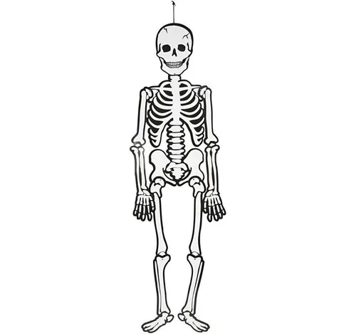creativ company Hängedekoration Skelett weiß aus Karton - Dekohänger für Halloween, bewegliches Skelett aus robustem Karton, leuchtet im Dunkeln und sorgt für gruseligen Spaß auf jeder Feier!
