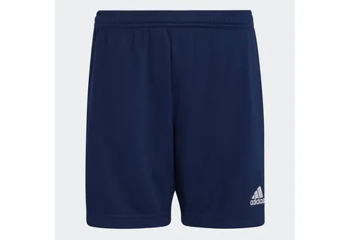 adidas Performance Trainingsshorts ENT22 TR SHOY in blau von adidas