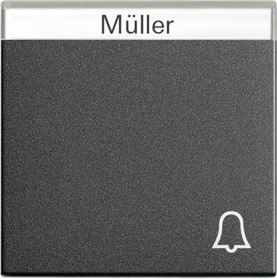 Gira 067328 Wippe mit Symbol Klingel und Beschriftungsfeld