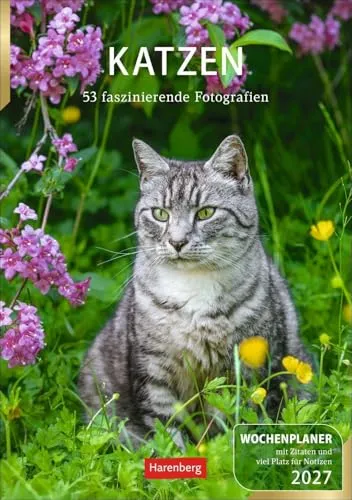 Katzen Wochenplaner 2027 von Harenberg