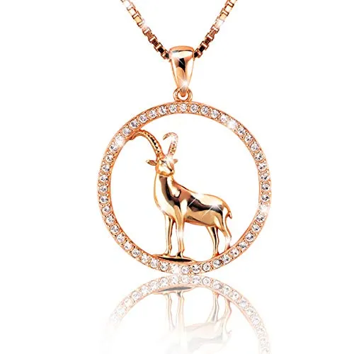 Elegante Damen Halskette Sternzeichen STEINBOCK Kette Roségold plattiert glänzende Zirkonia in 5A Qualität aus der Kollektion SHINE inkl. einer edlen PAVEL’S Schmuckbox4260608281928