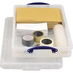 Really Useful Box Aufbewahrungsbox 20C Transparent 20 l (B x H x T) 710 x 120 x 440 mm 1 St.