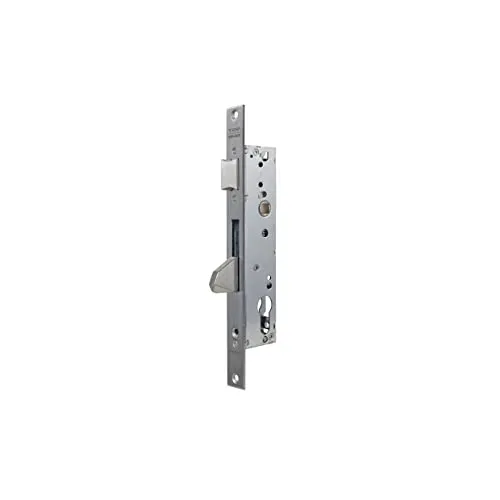 TESA 2210BE Einsteckschloss für Metallprofile Dornmaß 30 mm, Grau (Edelstahl) für Aluminium- und Stahlprofile