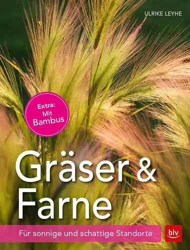 Ulrike Leyhe | Gräser und Farne | Taschenbuch | Deutsch (2017) | 128 S. | BLV