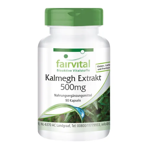 Kalmegh Extrakt 500 mg - 90 Kapseln 5-fach konzentriert - 100% VEGAN | fairvital