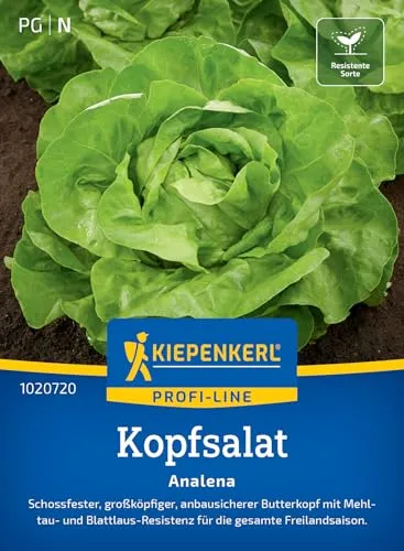 Kiepenkerl Profi-Line Kopfsalatsamen Analena 1020720 von Kiepenkerl